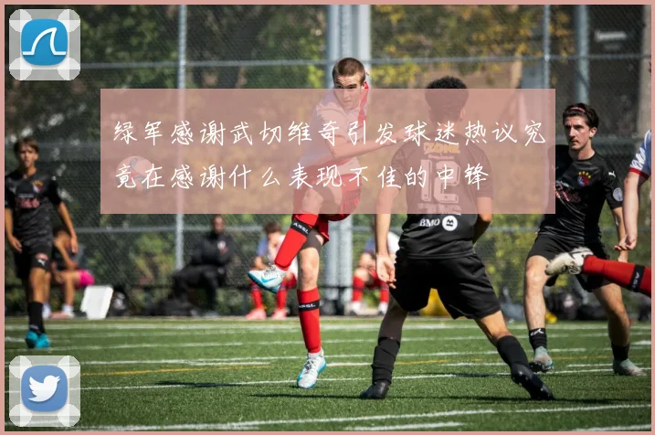 绿军感谢武切维奇引发球迷热议究竟在感谢什么表现不佳的中锋